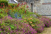 JUNE BLAKES GARDEN, IRELAND: BORDER, JULY, GERANIUM ANNE THOMPSON, ERYNGIUM BIG BLUE, MONARDA JACOB CLINE, ALSTROEMERIA ORANGE KING