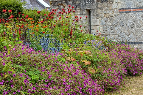 JUNE_BLAKES_GARDEN_IRELAND_BORDER_JULY_GERANIUM_ANNE_THOMPSON_ERYNGIUM_BIG_BLUE_MONARDA_JACOB_CLINE_