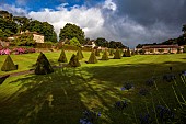 PLAS CADNANT, WALES: MAIN GARDEN, JULY, LAWN, CLIPPED TOPIARY YEW