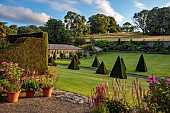 PLAS CADNANT, WALES: MAIN GARDEN, JULY, LAWN, CLIPPED TOPIARY YEW, CONTAINERS, BORROWED LANDSCAPE