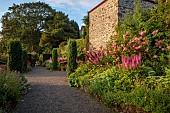 PLAS CADNANT, WALES: JULY, GRAVEL PATH, DOUBLE BORDERS, PINK ASTILBE, CLIPPED TOPIARY