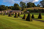 PLAS CADNANT, WALES: JULY, LAWN, CLIPPED TOPIARY YEW, BORROWED LANDSCAPE