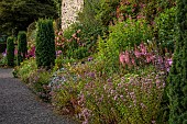 PLAS CADNANT, WALES: JULY, HERBACEOUS BORDER, PINK ASTILBE, CLIPPED TOPIARY, ALSTROEMERIA, HOSTAS