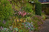 PLAS CADNANT, WALES: JULY, HERBACEOUS BORDER, PINK ASTILBE, CLIPPED TOPIARY, ALSTROEMERIA, HOSTAS