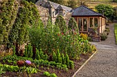 PLAS CADNANT, WALES: JULY, KITCHEN, CUTTING, FRUIT GARDEN IN WALLED GARDEN, WALL TRAINED WELSH APPLES