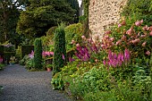 PLAS CADNANT, WALES: JULY, GRAVEL, HERBACEOUS BORDERS, PINK ASTILBES, CLIPPED TOPIARY