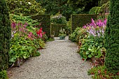PLAS CADNANT, WALES: JULY, GRAVEL, HERBACEOUS BORDERS, PINK ASTILBES, HOSTA FORTUNEI VAR. HYACINTHINA