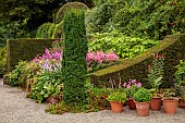 PLAS CADNANT, WALES: JULY, GRAVEL, HERBACEOUS BORDERS, PINK ASTILBES, HOSTA FORTUNEI VAR. HYACINTHINA, CLIPPED TOPIARY, TERRACOTTA CONTAINERS