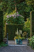 PLAS CADNANT, WALES: WALLED GARDEN, JULY, YEW HEDGES, HEDGING, COPPER CONTAINER WITH ACANTHUS MOLLIS RUE LEDAN