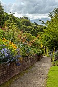 PLAS CADNANT, WALES: BORDER, AGAPANTHUS, ERYNGIUM BOURGATII PICOS BLUE, EUPHORBIA RIGIDA, CROCOSMIA ROWALLANE YELLOW, BESCHONERIA QUICKSILVER, SEPTENTRIONALIS, ERYNGIUM EBURNEUM