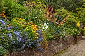 PLAS CADNANT, WALES: BORDER, AGAPANTHUS, ERYNGIUM BOURGATII PICOS BLUE, EUPHORBIA RIGIDA, CROCOSMIA ROWALLANE YELLOW, BESCHONERIA QUICKSILVER, SEPTENTRIONALIS, ERYNGIUM EBURNEUM