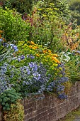 PLAS CADNANT, WALES: BORDER, AGAPANTHUS, ERYNGIUM BOURGATII PICOS BLUE, EUPHORBIA RIGIDA, CROCOSMIA ROWALLANE YELLOW, BESCHONERIA QUICKSILVER, SEPTENTRIONALIS, ERYNGIUM EBURNEUM
