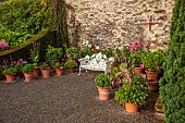 PLAS CADNANT, WALES: JULY, WALLED GARDEN, WHITE BENCH, SEAT, TERRACOTTA CONTAINERS WITH LILLIES, DAHLIAS, FRANCHOA