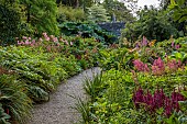 PLAS CADNANT, WALES: JULY, SHADE, SHADY BORDER, , PINK FLOWERS, BLOOMS OF ASTILBE ARENDII ETNA, FILIPENDULA RUBRA VENUSTA