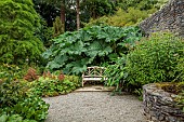 PLAS CADNANT, WALES: JULY, SHADE, SHADY, WOODEN BENCH, SEAT, GUNNERA MANICATA