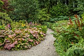 PLAS CADNANT, WALES: JULY, SHADE, SHADY BORDER