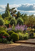 MORTON HALL GARDENS, WORCESTERSHIRE: SOUTH GARDEN, AUGUST, LAWN, BORDERS, PEROVSKIA, CLIPPED BOX BALLS