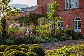 MORTON HALL GARDENS, WORCESTERSHIRE: SOUTH GARDEN, AUGUST, LAWN, BORDERS, PEROVSKIA, SIDALCEA ELSIE HEUGH, PHLOX, ECHINACEA MORTON HALL, CLIPPED BOX BALLS