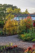 MORTON HALL GARDENS, WORCESTERSHIRE: JULY, KITCHEN GARDEN, POTAGER, VEGETABLES, ARCH, SWEET PEAS, LATHYRUS ODORATUS HENRY ECKFORD