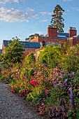 MORTON HALL GARDENS, WORCESTERSHIRE: JULY, KITCHEN GARDEN, BORDER, PHLOX PANICULATA STARFIRE, ROSA BOSCOBEL, ALLIUM SPHAEROCEPHALON, SALVIA INVOLUCRATA, ROSA GABRIEL OAK