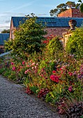 MORTON HALL GARDENS, WORCESTERSHIRE: JULY, KITCHEN GARDEN, BORDER, PHLOX PANICULATA STARFIRE, ROSA BOSCOBEL, ALLIUM SPHAEROCEPHALON, SALVIA INVOLUCRATA, ROSA GABRIEL OAK