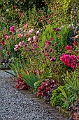 MORTON HALL GARDENS, WORCESTERSHIRE: JULY, KITCHEN GARDEN, BORDER, PHLOX PANICULATA STARFIRE, ROSA BOSCOBEL, ALLIUM SPHAEROCEPHALON, SALVIA INVOLUCRATA, ROSA GABRIEL OAK