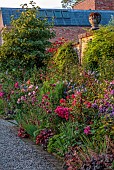 MORTON HALL GARDENS, WORCESTERSHIRE: JULY, KITCHEN GARDEN, BORDER, PHLOX PANICULATA STARFIRE, ROSA BOSCOBEL, ALLIUM SPHAEROCEPHALON, SALVIA INVOLUCRATA, ROSA GABRIEL OAK