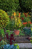 MORTON HALL GARDENS, WORCESTERSHIRE: JULY, KICHEN GARDENS, POTAGER, VEGETABLE, CONTAINER, CANNA TROPICANA GOLD
