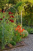 MORTON HALL GARDENS, WORCESTERSHIRE: KITCHEN GARDEN, ORANGE FLOWERS, BLOOMS OF CROCOSMIA OKAVANGO, JULY, PERENNIALS