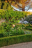 ROCKINGHAM CASTLE, NORTHAMPTONSHIRE: BORDER, DAHLIA, CALYCANTHUS X RAULSTONII HARTLAGE WINE, SHRUBS, CAROLINA ALLSPICE