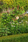 ROCKINGHAM CASTLE, NORTHAMPTONSHIRE: BORDER, DAHLIA, CALYCANTHUS X RAULSTONII HARTLAGE WINE, SHRUBS, CAROLINA ALLSPICE