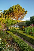 ROCKINGHAM CASTLE, NORTHAMPTONSHIRE: BORDER, ALLIUM SCHUBERTII, COSMOS, PHLOX MONICA LYDON, HEMEROCALLIS LILY BONANZA, INDIGOFERA HETERANTHA, RUDBECKIA GOLDILOCKS, AUTUMN FOREST