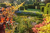 ROCKINGHAM CASTLE, NORTHAMPTONSHIRE: VIEW OVER BORDERS, YEW HEDGES, HEDGING, COSMOS PURITY, AGAPANTHUS