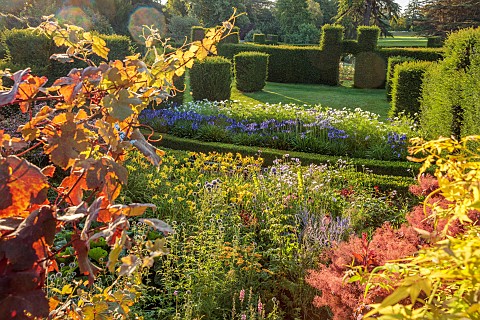 ROCKINGHAM_CASTLE_NORTHAMPTONSHIRE_VIEW_OVER_BORDERS_YEW_HEDGES_HEDGING_COSMOS_PURITY_AGAPANTHUS