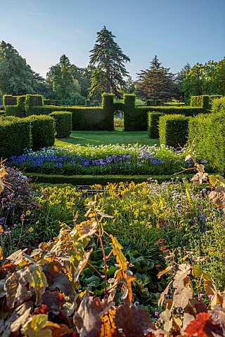 ROCKINGHAM_CASTLE_NORTHAMPTONSHIRE_VIEW_OVER_BORDERS_YEW_HEDGES_HEDGING_COSMOS_PURITY_AGAPANTHUS