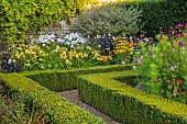 ROCKINGHAM CASTLE, NORTHAMPTONSHIRE: BORDER, ALLIUM SCHUBERTII, COSMOS, PHLOX MONICA LYDON, HEMEROCALLIS LILY BONANZA, INDIGOFERA HETERANTHA, RUDBECKIA GOLDILOCKS, AUTUMN FOREST