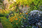 ROCKINGHAM CASTLE, NORTHAMPTONSHIRE: DAHLIA BISHOP OF DOVER, RUDBECKIA HIRTA AUTUMN FOREST, RUDBECKIA HIRTA GOLDILOCKS, PHLOX MONICA LYNDON, HEMEROCALLIS LILY BONANZA