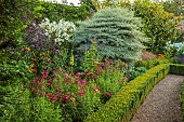 ROCKINGHAM CASTLE, NORTHAMPTONSHIRE: BORDERS, DAHLIA TOTALLY TANGERINE, PENSTEMON GARNET, COSMOS CORNUS CONTROVERSA VARIEGATA, VERBENA HASTATA BLUE SPIRES, LILIUM PRETTY WOMAN