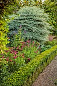 ROCKINGHAM CASTLE, NORTHAMPTONSHIRE: BORDERS, DAHLIA TOTALLY TANGERINE, PENSTEMON GARNET, COSMOS CORNUS CONTROVERSA VARIEGATA, VERBENA HASTATA BLUE SPIRES