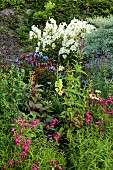 ROCKINGHAM CASTLE, NORTHAMPTONSHIRE: BORDERS, PENSTEMON GARNET, LILIUM PRETTY WOMAN, GLADIOLUS EVERGREEN, MONARDA MELUA BURGUNDY, ECHINOPS, VERBENA HASTATA BLUE SPIRES