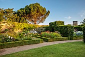 ROCKINGHAM CASTLE, NORTHAMPTONSHIRE: LAWN, PATH, BORDERS, JUNE, STONE PINE, WALLS, WALLED GARDEN