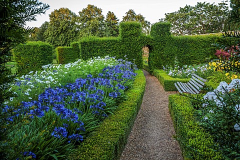 ROCKINGHAM_CASTLE_NORTHAMPTONSHIRE_BORDERS_YEW_HEDGES_HEDGING_PATH_AGAPANTHUS_COSMOS_PURITY_BENCH_SE