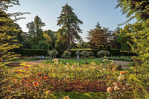 ROCKINGHAM_CASTLE_NORTHAMPTONSHIRE_JULY_ROSE_GARDEN
