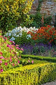 ROCKINGHAM CASTLE, NORTHAMPTONSHIRE: BORDERS, COSMOS, PHLOX PANICULATA NIRVANA, HELENIUM MOERHEIM BEAUTY, PERENNIALS