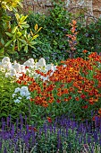 ROCKINGHAM CASTLE, NORTHAMPTONSHIRE: BORDERS, PHLOX PANICULATA NIRVANA, HELENIUM MOERHEIM BEAUTY, PERENNIALS
