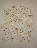 GREEN & GORGEOUS FLOWERS, OXFORDSHIRE: FLAT LAY BY RACHEL SIEGFRIED, SEED HEADS OF LUNARIA CORFU BLUE, ORLAYA GRANDIFLORA, LAGURUS OVATUS, LEPIDIUM, BUPLEURUM, PAPAVER