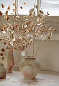 GREEN & GORGEOUS FLOWERS, OXFORDSHIRE: SEPTEMBER, SEED HEADS OF LUNARIA CORFU BLUE ARRANGED IN CONTAINER BY RACHEL SIEGFRIED, ANNUALS