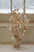 GREEN & GORGEOUS FLOWERS, OXFORDSHIRE: SEPTEMBER, SEED HEADS OF LUNARIA CORFU BLUE ARRANGED IN CONTAINER BY RACHEL SIEGFRIED, ANNUALS