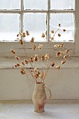 GREEN & GORGEOUS FLOWERS, OXFORDSHIRE: SEPTEMBER, SEED HEADS ARRANGED IN CONTAINER BY RACHEL SIEGFRIED, ANNUALS