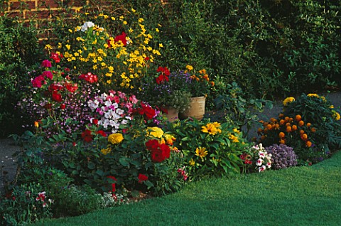 GROUP_OF_COLOURFUL_SUMMER_CONTAINERS_BESIDE_BORDER_IN_IAN_MCARTHURS_READING_GARDEN